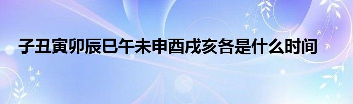 子丑寅卯辰巳午未申酉戌亥各是什么时间