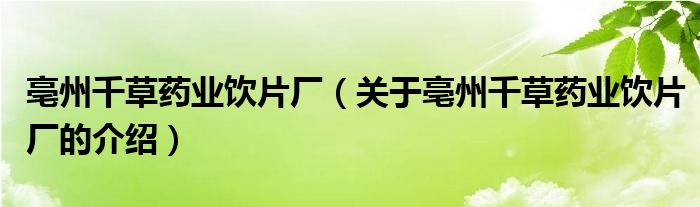 亳州千草药业饮片厂【关于亳州千草药业饮片厂的介绍】