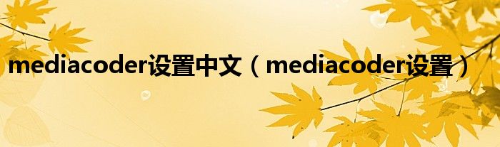 mediacoder设置中文【mediacoder设置】