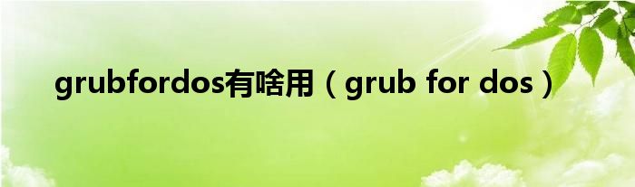 grubfordos有啥用【grub for dos】