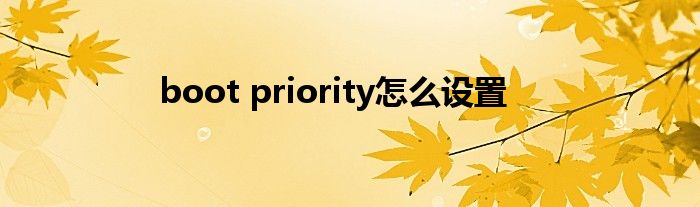 boot priority怎么设置