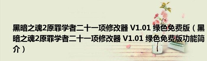 黑暗之魂2原罪学者二十一项修改器 V1.01 绿色免费版【黑暗之魂2原罪学者二十一项修改器 V1.01 绿色免费版功能简介】