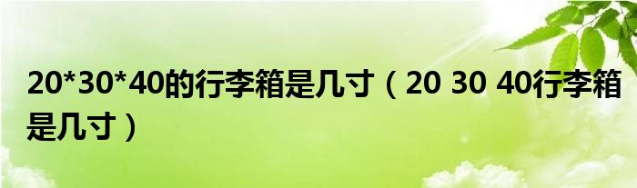 20*30*40的行李箱是几寸【20 30 40行李箱是几寸】