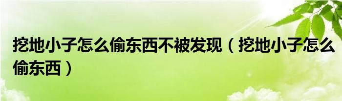 挖地小子怎么偷东西不被发现【挖地小子怎么偷东西】