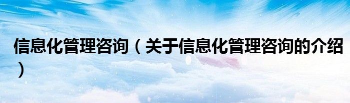 信息化管理咨询【关于信息化管理咨询的介绍】