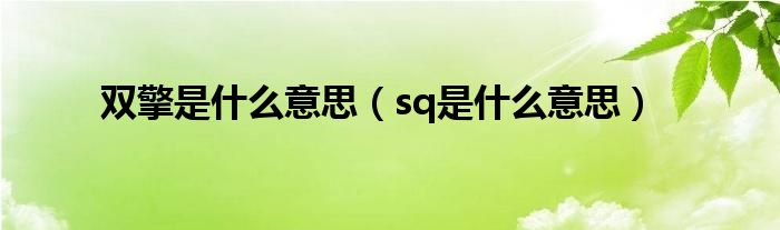 双擎是什么意思【sq是什么意思】