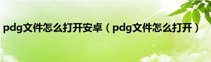 pdg文件怎么打开安卓【pdg文件怎么打开】