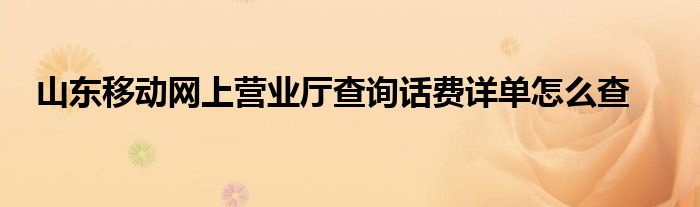 山东移动网上营业厅查询话费详单怎么查