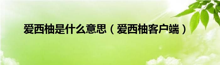 爱西柚是什么意思【爱西柚客户端】