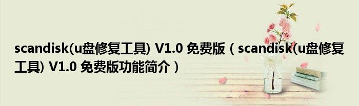 scandisk(u盘修复工具) V1.0 免费版【scandisk(u盘修复工具) V1.0 免费版功能简介】