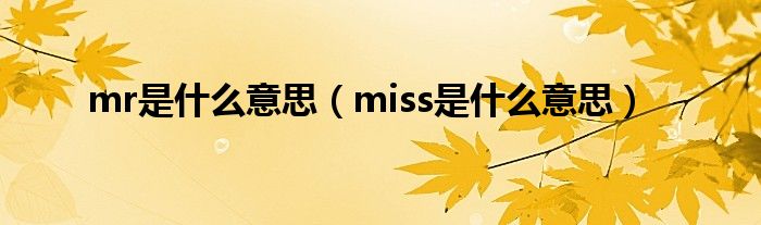 mr是什么意思【miss是什么意思】