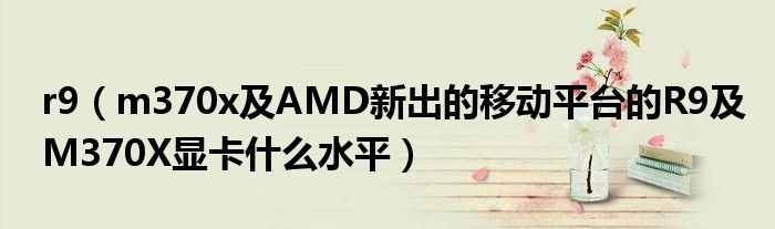 r9【m370x及AMD新出的移动平台的R9及M370X显卡什么水平】