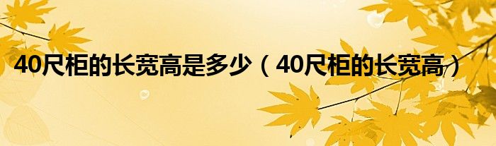 40尺柜的长宽高是多少【40尺柜的长宽高】