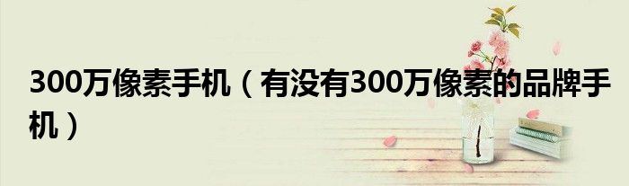 300万像素手机【有没有300万像素的品牌手机】