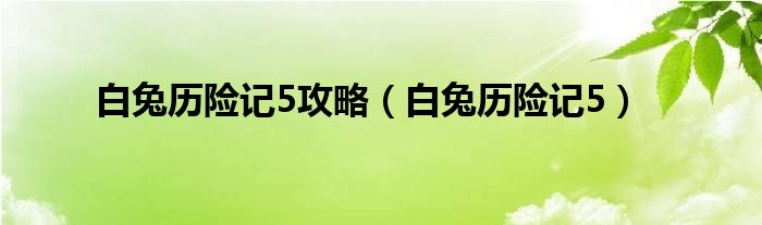 白兔历险记5攻略【白兔历险记5】
