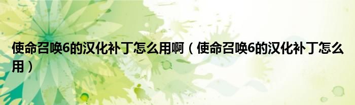 使命召唤6的汉化补丁怎么用啊【使命召唤6的汉化补丁怎么用】