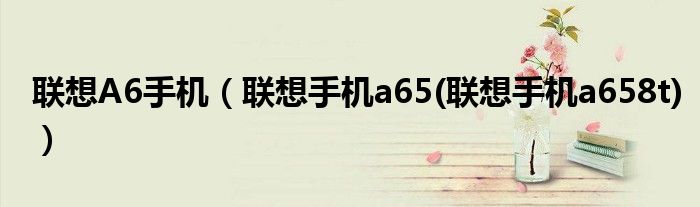 联想A6手机【联想手机a65(联想手机a658t)】