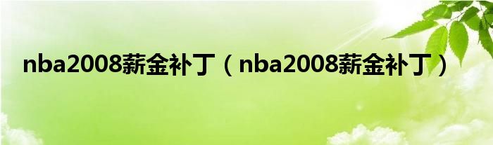 nba2008薪金补丁【nba2008薪金补丁】