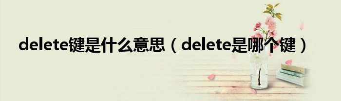 delete键是什么意思【delete是哪个键】
