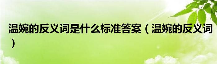 温婉的反义词是什么标准答案【温婉的反义词】