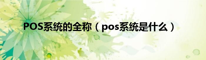 POS系统的全称【pos系统是什么】