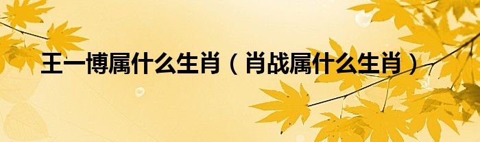 王一博属什么生肖【肖战属什么生肖】