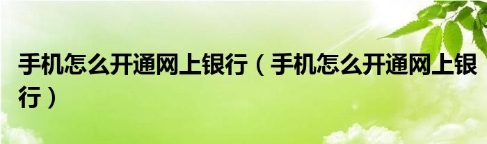 手机怎么开通网上银行【手机怎么开通网上银行】