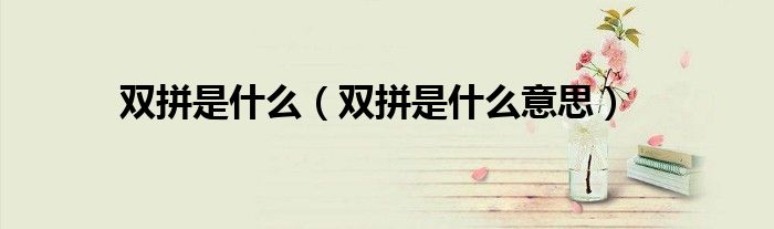 双拼是什么【双拼是什么意思】