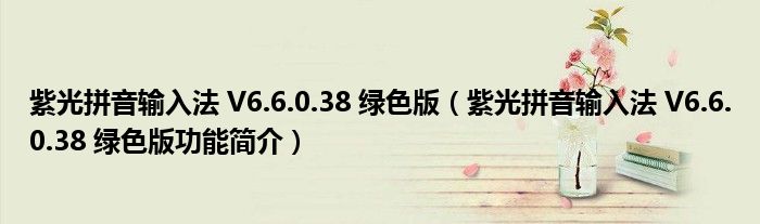 紫光拼音输入法 V6.6.0.38 绿色版【紫光拼音输入法 V6.6.0.38 绿色版功能简介】