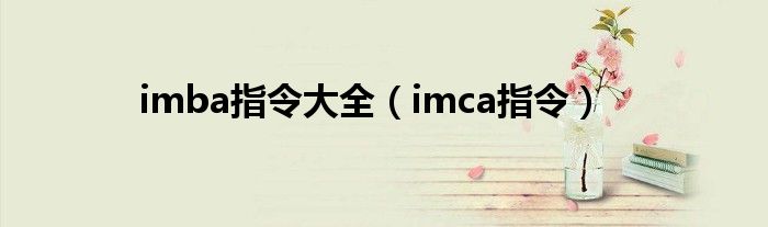 imba指令大全【imca指令】