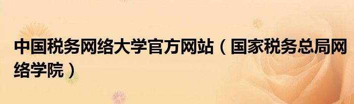 中国税务网络大学官方网站【国家税务总局网络学院】