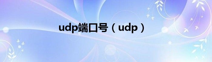 udp端口号【udp】
