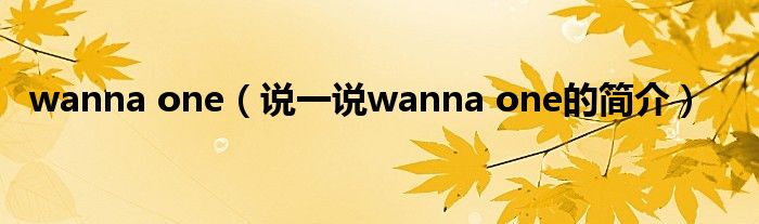 wanna one【说一说wanna one的简介】