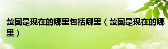 楚国是现在的哪里包括哪里【楚国是现在的哪里】