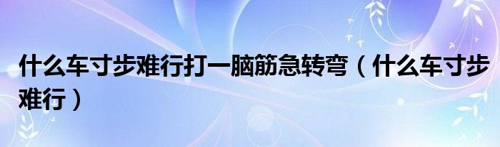 什么车寸步难行打一脑筋急转弯【什么车寸步难行】