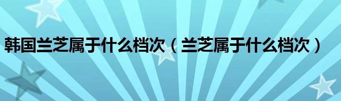 韩国兰芝属于什么档次【兰芝属于什么档次】