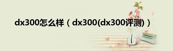 dx300怎么样【dx300(dx300评测)】