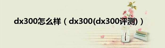 dx300怎么样【dx300(dx300评测)】