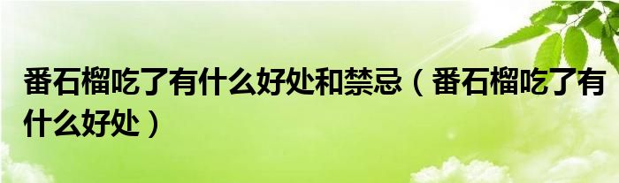 番石榴吃了有什么好处和禁忌【番石榴吃了有什么好处】