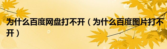 为什么百度网盘打不开【为什么百度图片打不开】