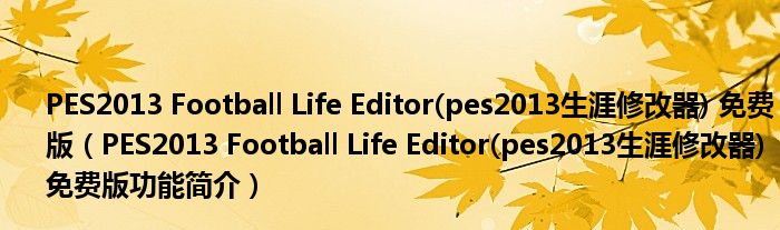 PES2013 Football Life Editor(pes2013生涯修改器) 免费版【PES2013 Football Life Editor(pes2013生涯修改器) 免费版功能简介】