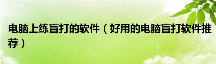 电脑上练盲打的软件【好用的电脑盲打软件推荐】