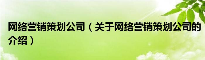 网络营销策划公司【关于网络营销策划公司的介绍】