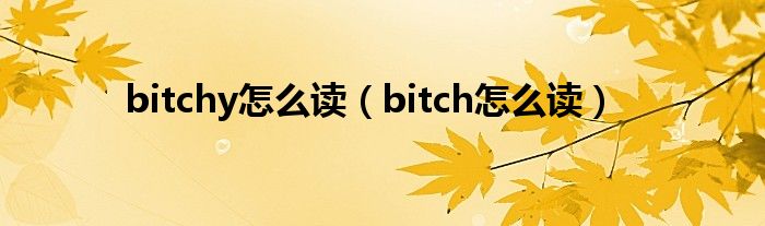 bitchy怎么读【bitch怎么读】