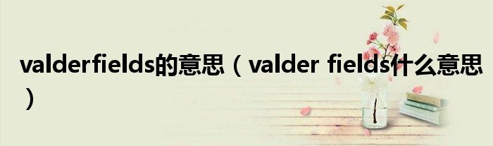 valderfields的意思【valder fields什么意思】