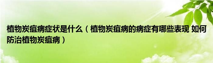 植物炭疽病症状是什么【植物炭疽病的病症有哪些表现 如何防治植物炭疽病】