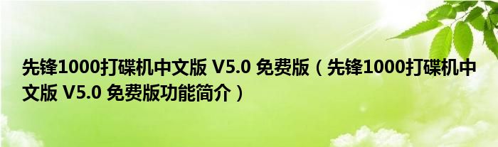 先锋1000打碟机中文版 V5.0 免费版【先锋1000打碟机中文版 V5.0 免费版功能简介】