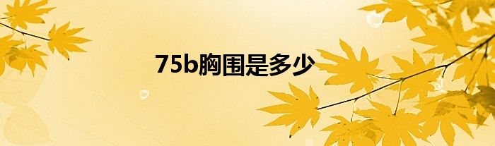 75b胸围是多少