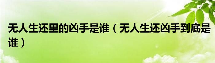 无人生还里的凶手是谁【无人生还凶手到底是谁】