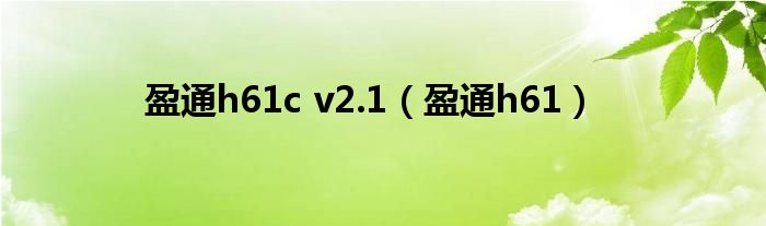 盈通h61c v2.1【盈通h61】